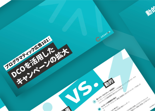 LP-DCO-Guide-JP-530x380